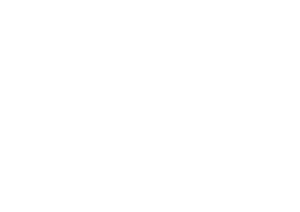 Des Palmes